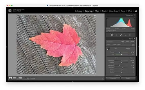 Photoshop против Lightroom – что нужно знать