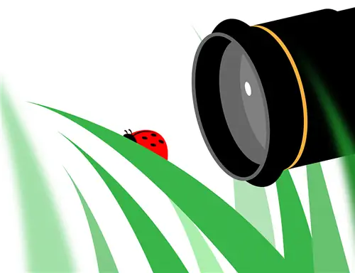 Макрофотография Иллюстрация