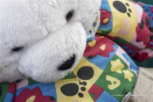 фотографирование деталей автомобиля6