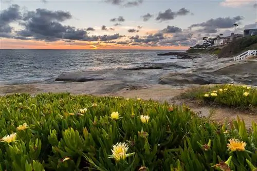 Мои сложные отношения с морскими пейзажами