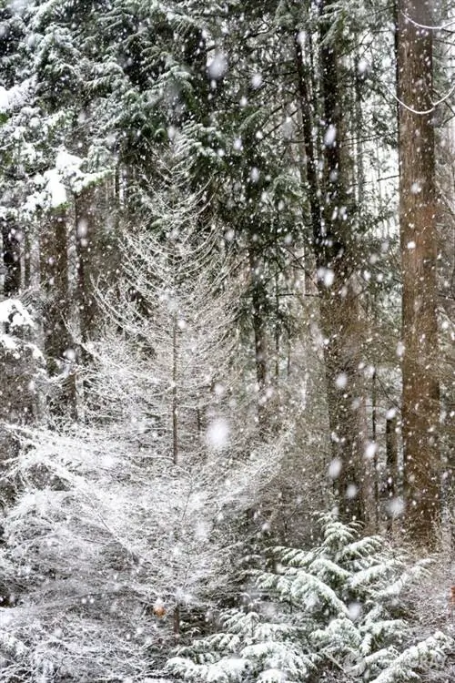 Снег падает