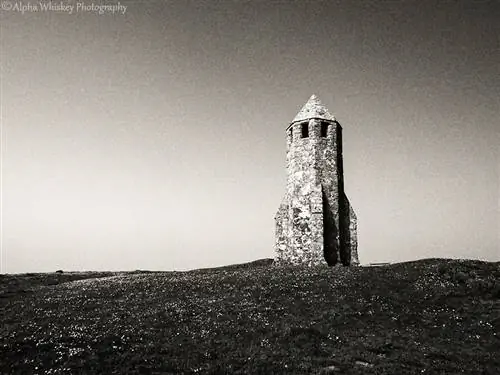 7. Горшок с перцем