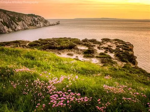 Открытки с острова Уайт