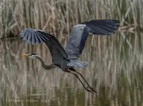 мать-природа 3