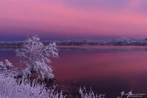 Фотосъемка рядом с домом (7)