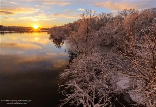 Фотосъемка рядом с домом (6)