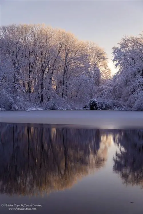 Фотосъемка рядом с домом (4)