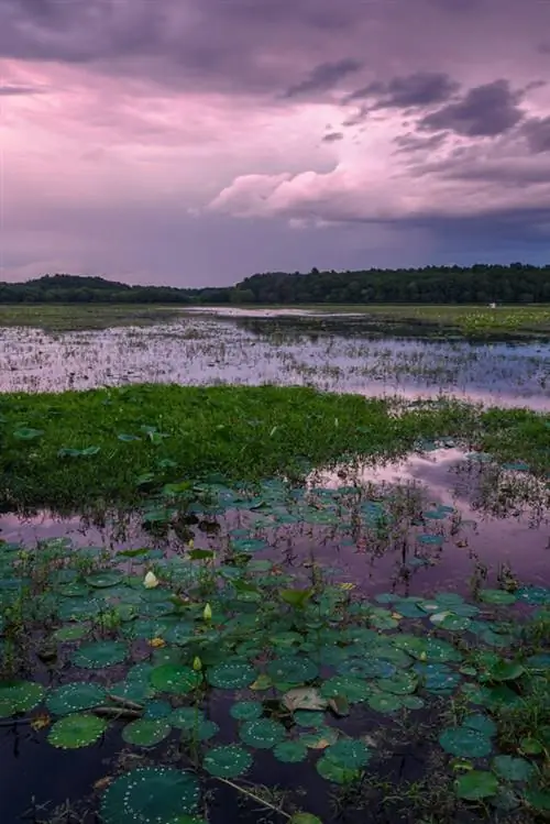 Фотосъемка рядом с домом (2)