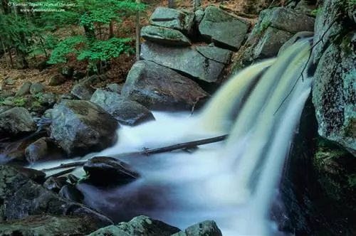 Фотосъемка рядом с домом (9)