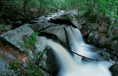 Фотосъемка рядом с домом (10)