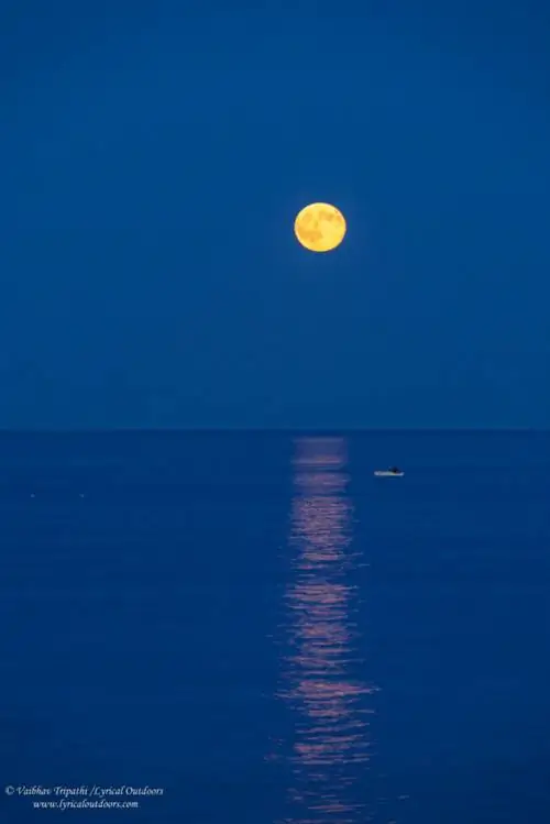 Фотосъемка рядом с домом (3)