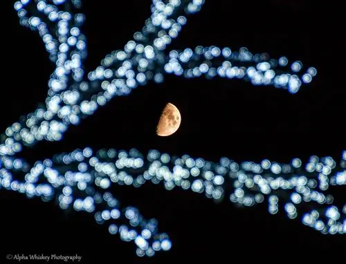 1 Рождественская луна