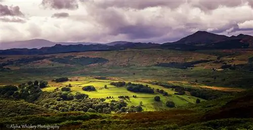 4. Я люблю Англию