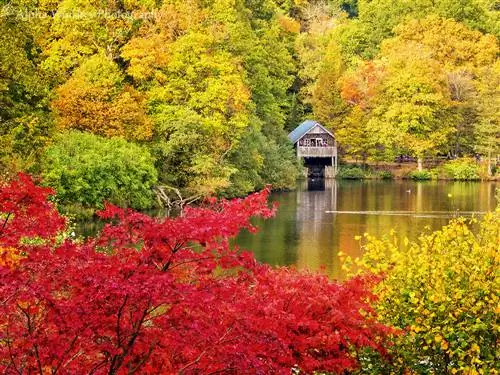 Осеннее поощрение