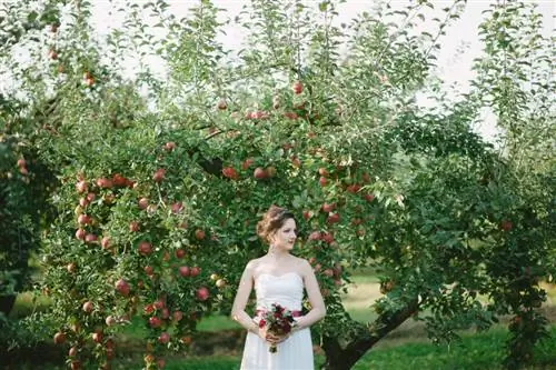 Сделай шаг назад-2