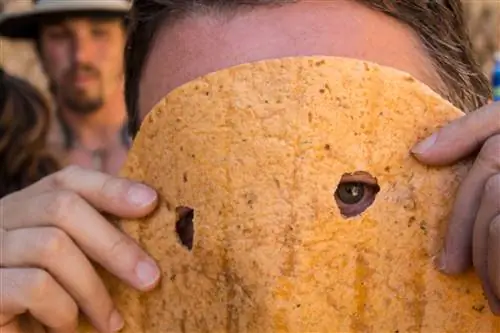 Исповедь фотогрешника