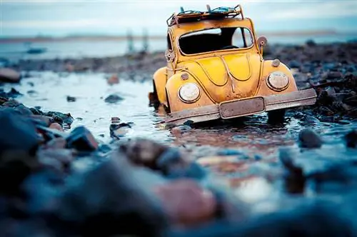Путешествующие автомобили (9)