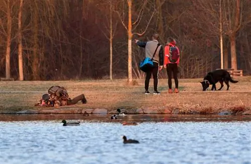 Городская дикая природа_Libor 01