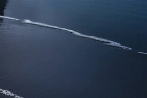 Размытие в морской пене