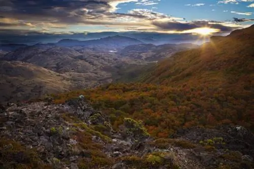 Цвета осени в парке Патагония, сделанные в виде HDR-фотографии.