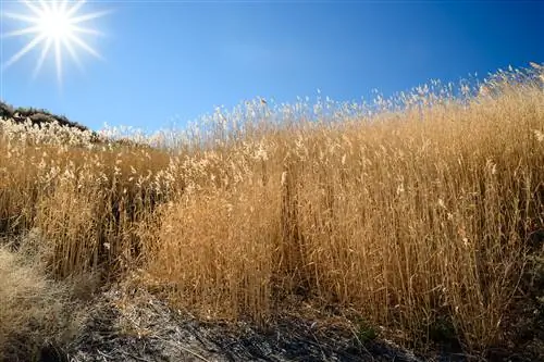 Окончательное изображение после удаления пальца