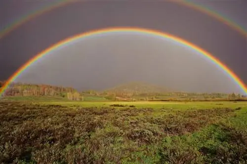 Двойная радуга