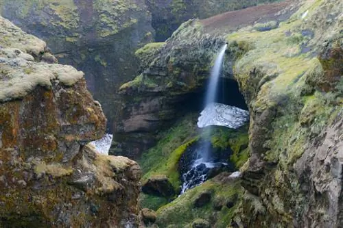 Image Image