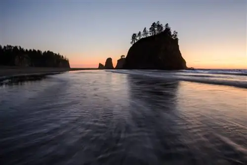 Размытое пейзажное фото с нестабильной земли-j.webp