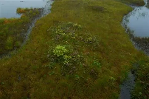 Nikon D3_01_Полное разрешение Кроп