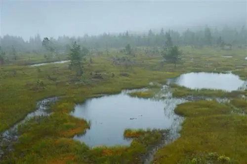 Nikon D3_02_Полное разрешение Кроп