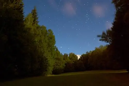 Nikon D3_03_Полное разрешение Кроп