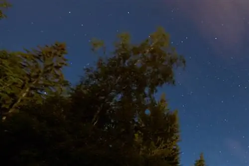 Nikon D3_04_Полное разрешение Кроп