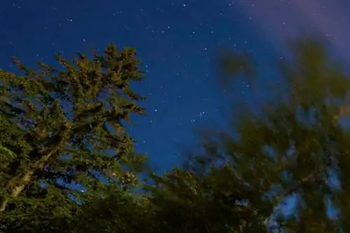 Nikon Z9_04_Полное разрешение Кроп