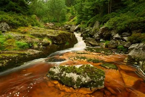 Йизерские Горы_Nikon D3_04