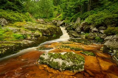 Йизерские Горы_Nikon Z9_04