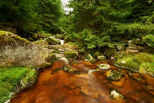 Йизерские Горы_Nikon D3_01