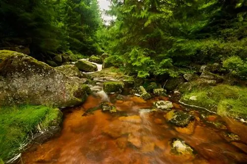 Йизерские Горы_Nikon Z9_01