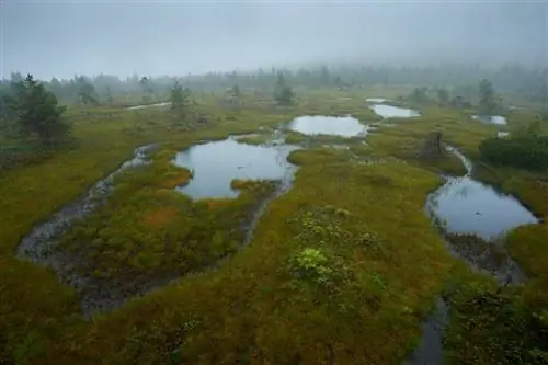 Йизерские Горы_Nikon D3_05