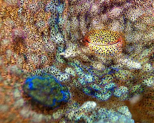 Научная фотография: столкновение искусства и науки