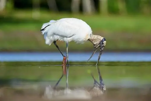 Nikon D600_Образец 25