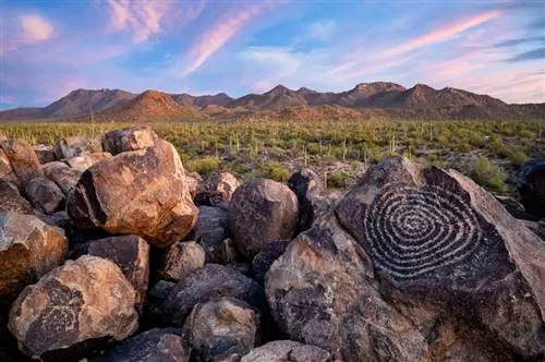 Образец изображения Nikon Z6 II № 51