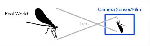 Как объектив инвертирует изображение