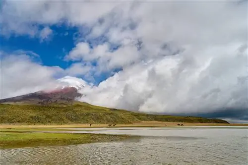 Новости фотографии: слухи об объективах Nikon, акция Nikon Trade-In