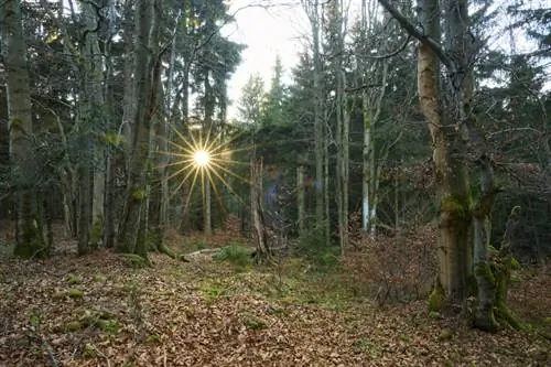 Бескиды_Чехия