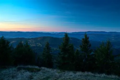 Яворники_Чехия