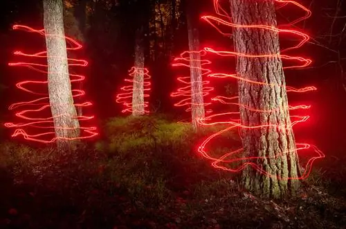 Новости фотографии: слухи об объективах и супертелеобъективах Sigma