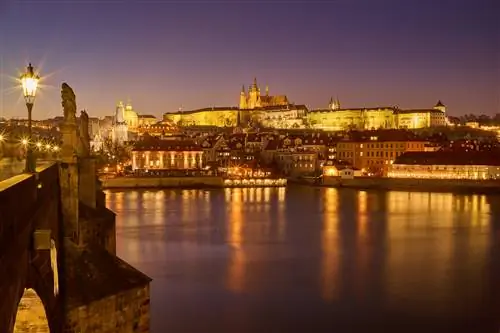 Новости фотографии: девять новых объективов, распродажа планшетов Wacom