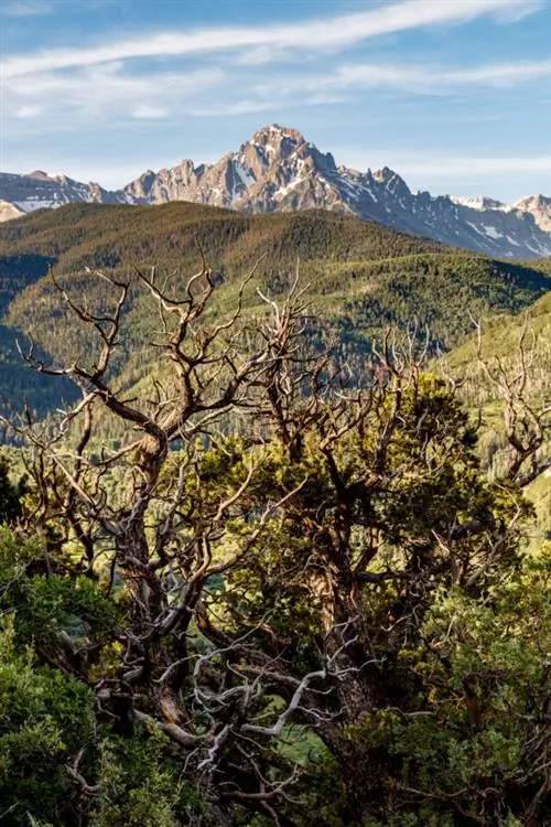 Образец изображения Canon 5DS № 3