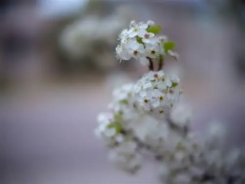 Fuji GFX 50S с объективом Noct-NIKKOR 58mm f1.2