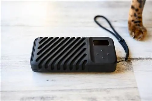 Обзор SSD Gnarbox 2.0